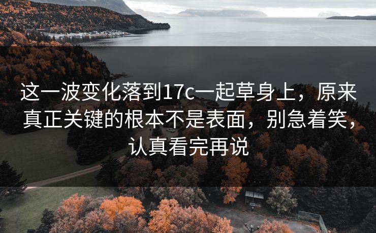 这一波变化落到17c一起草身上，原来真正关键的根本不是表面，别急着笑，认真看完再说