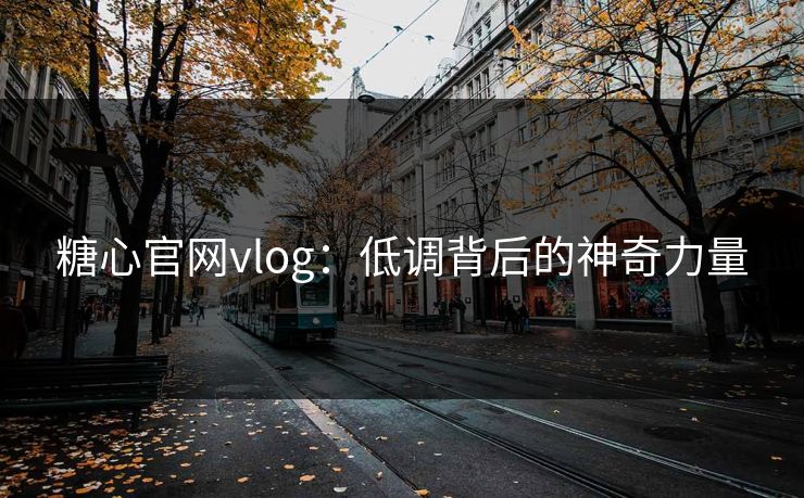 糖心官网vlog：低调背后的神奇力量