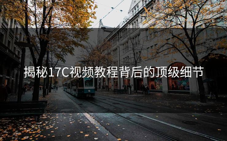 揭秘17C视频教程背后的顶级细节