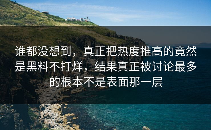 谁都没想到，真正把热度推高的竟然是黑料不打烊，结果真正被讨论最多的根本不是表面那一层