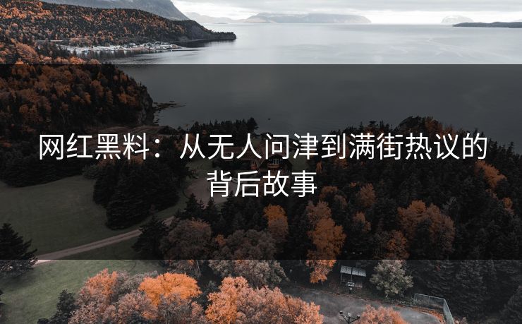网红黑料：从无人问津到满街热议的背后故事